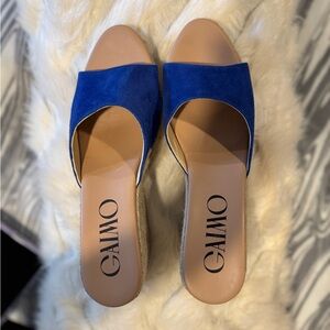 NWOT…Suede Royal Blue Espadrille Slides